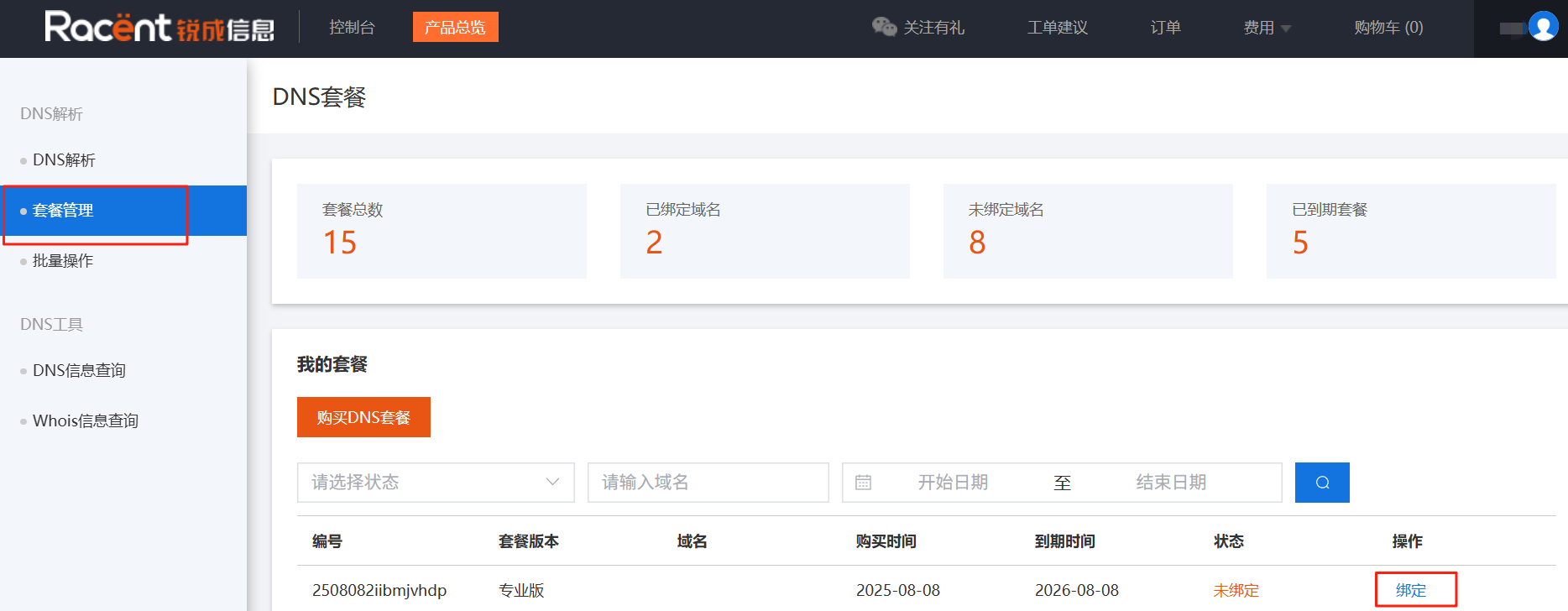 付费域名解析服务