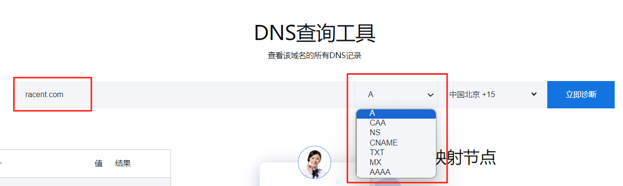 使用 Racent DNS 查詢工具