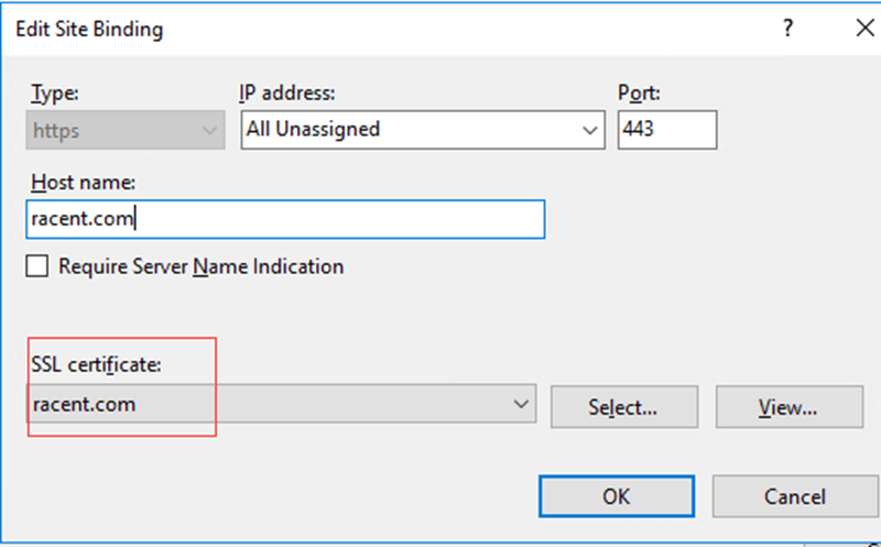 IIS