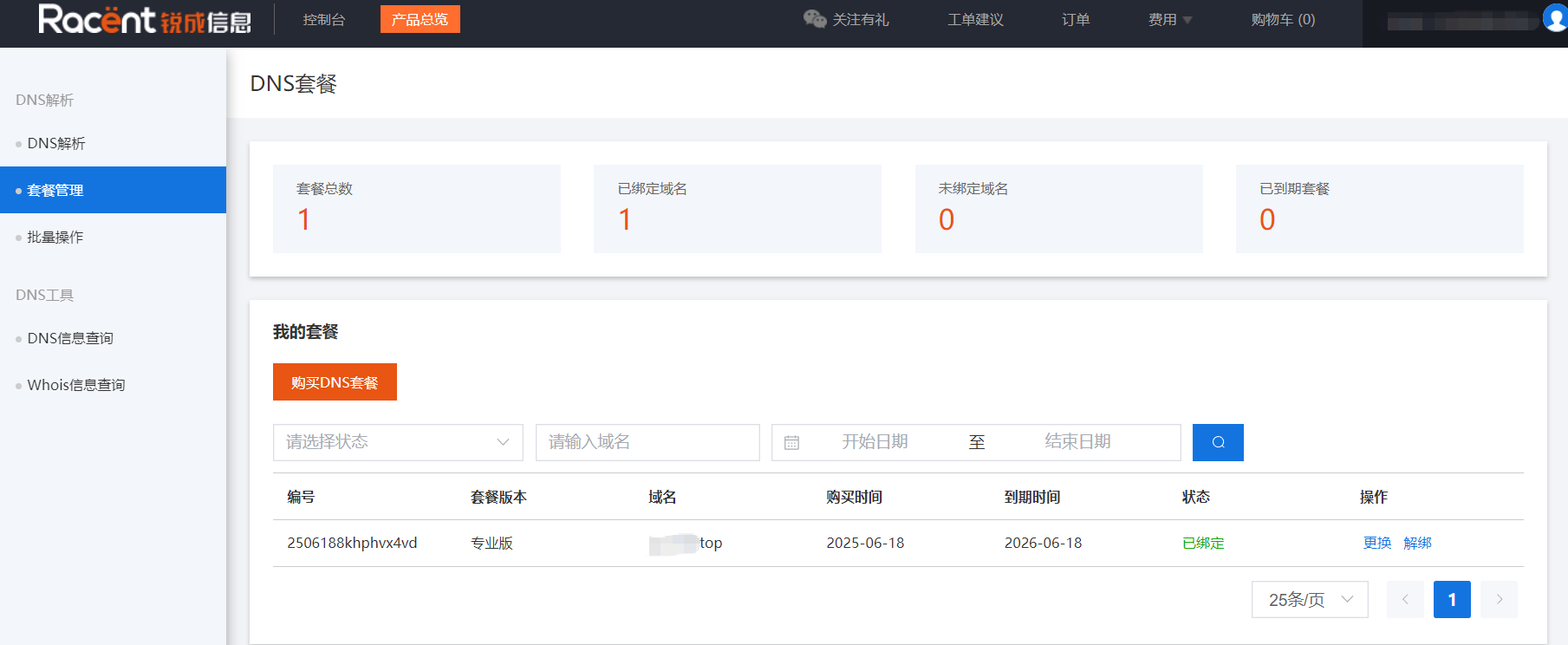 付费域名解析服务
