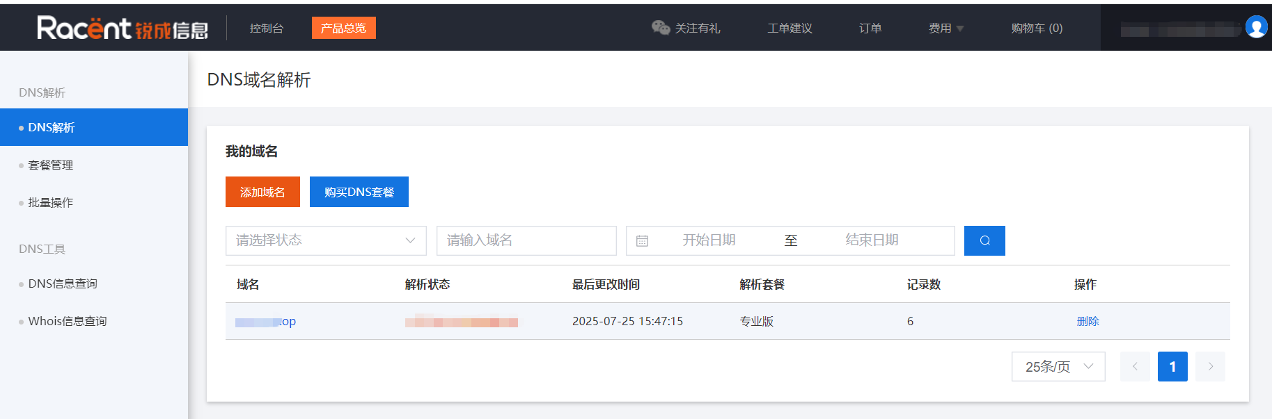 付费域名解析服务